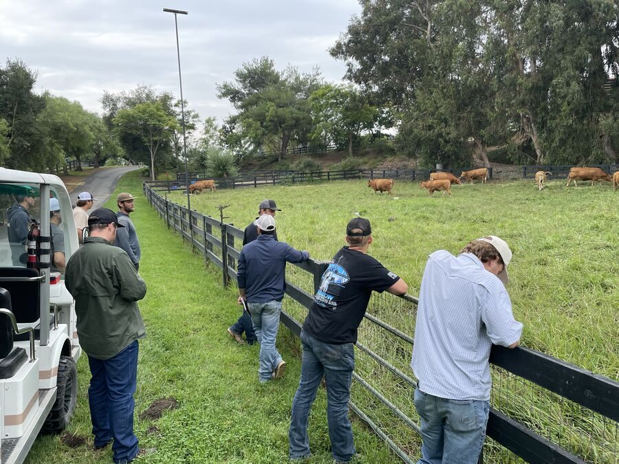 Group observing rotational grazing cattle at Apricot Lane Farms — livestock systems field observation