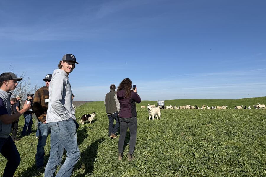 Field observation at Burroughs Family Farms regenerative field day — students and professionals in working pasture conditions