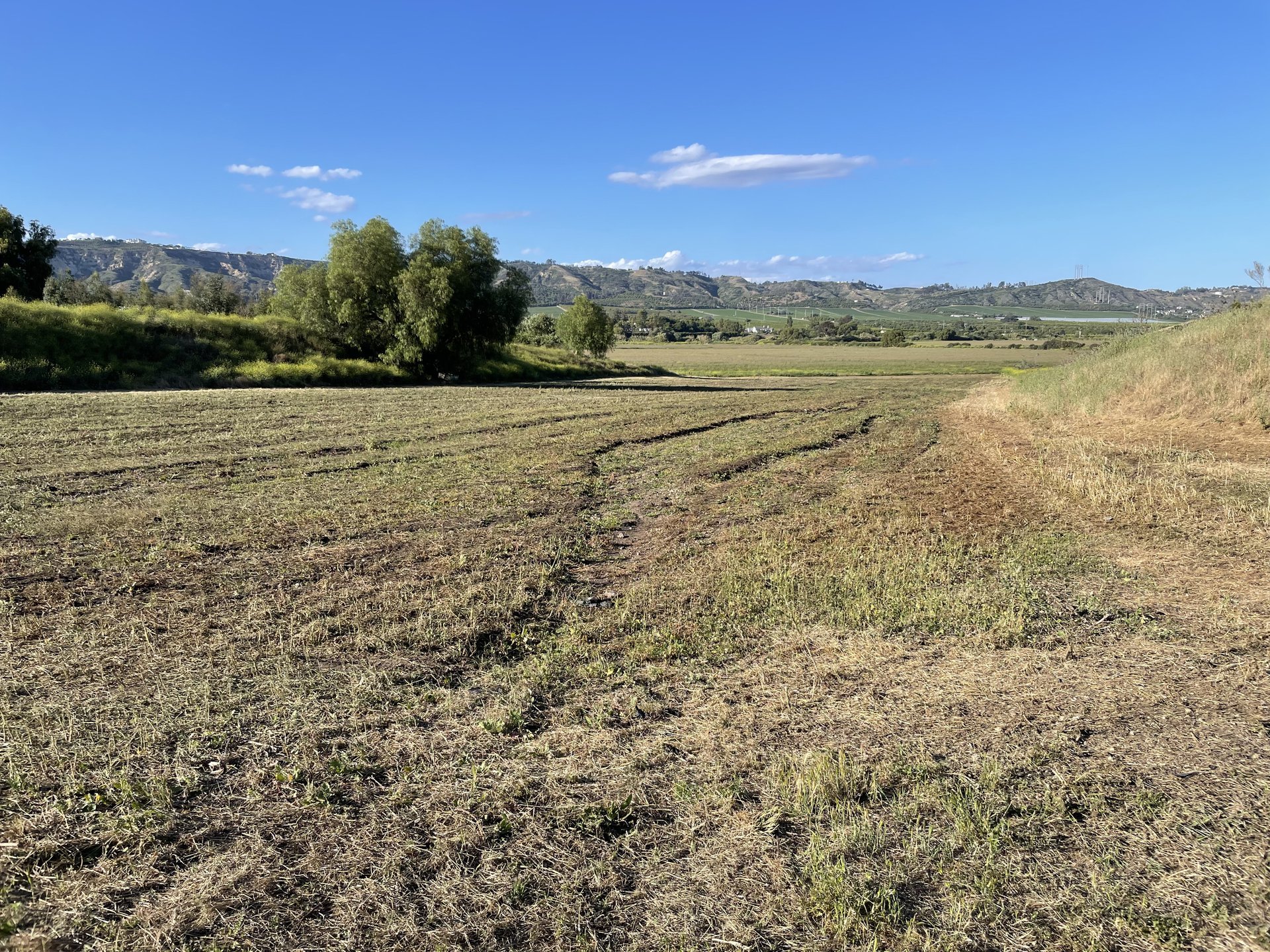Wide commercial farm field with visible equipment tracks and hillside landscape